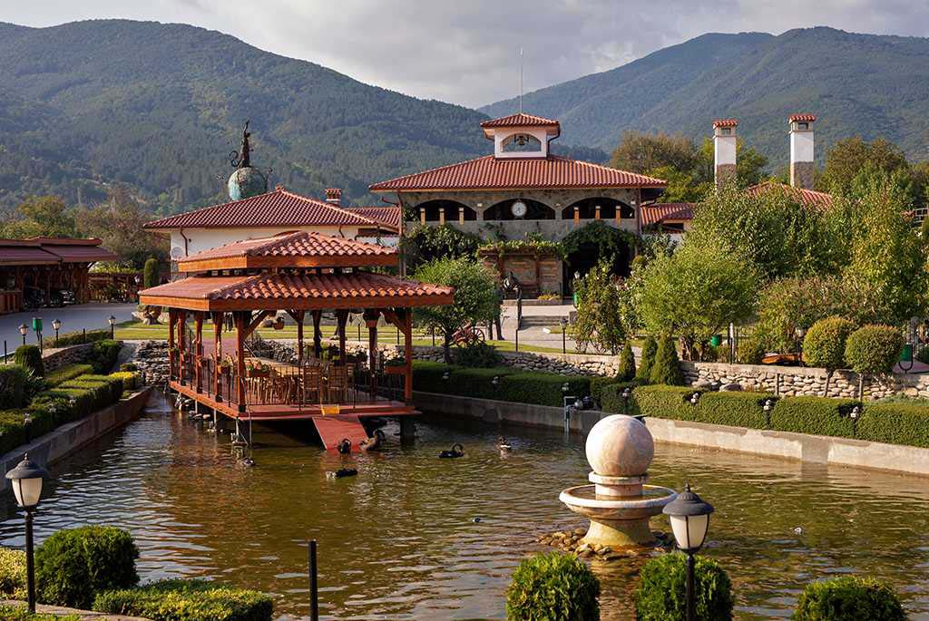 Дамасцена - снимка 1