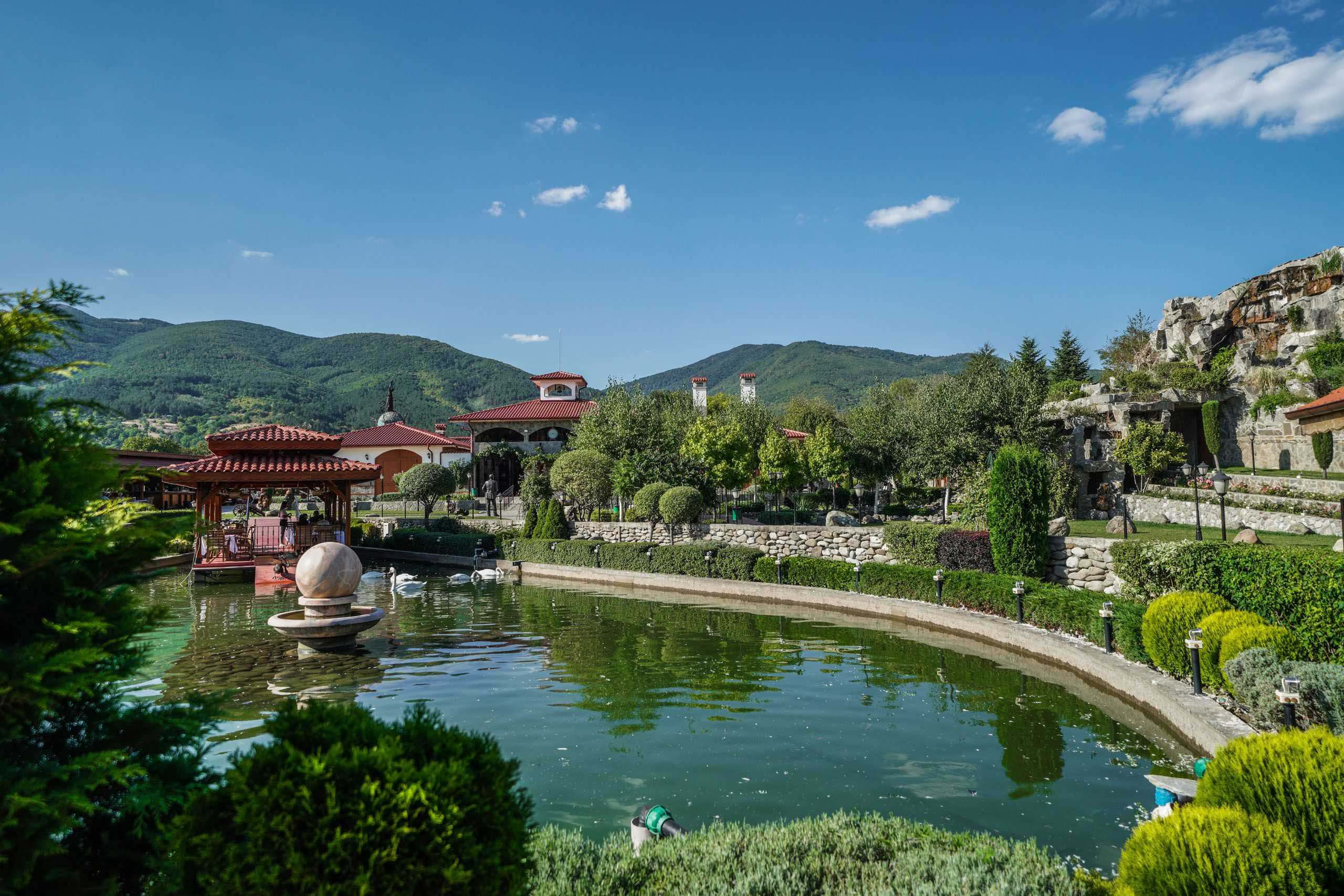 Дамасцена - снимка 3