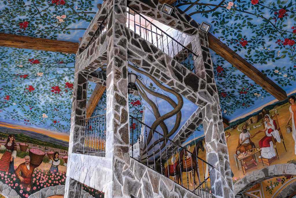 Дамасцена - снимка 7