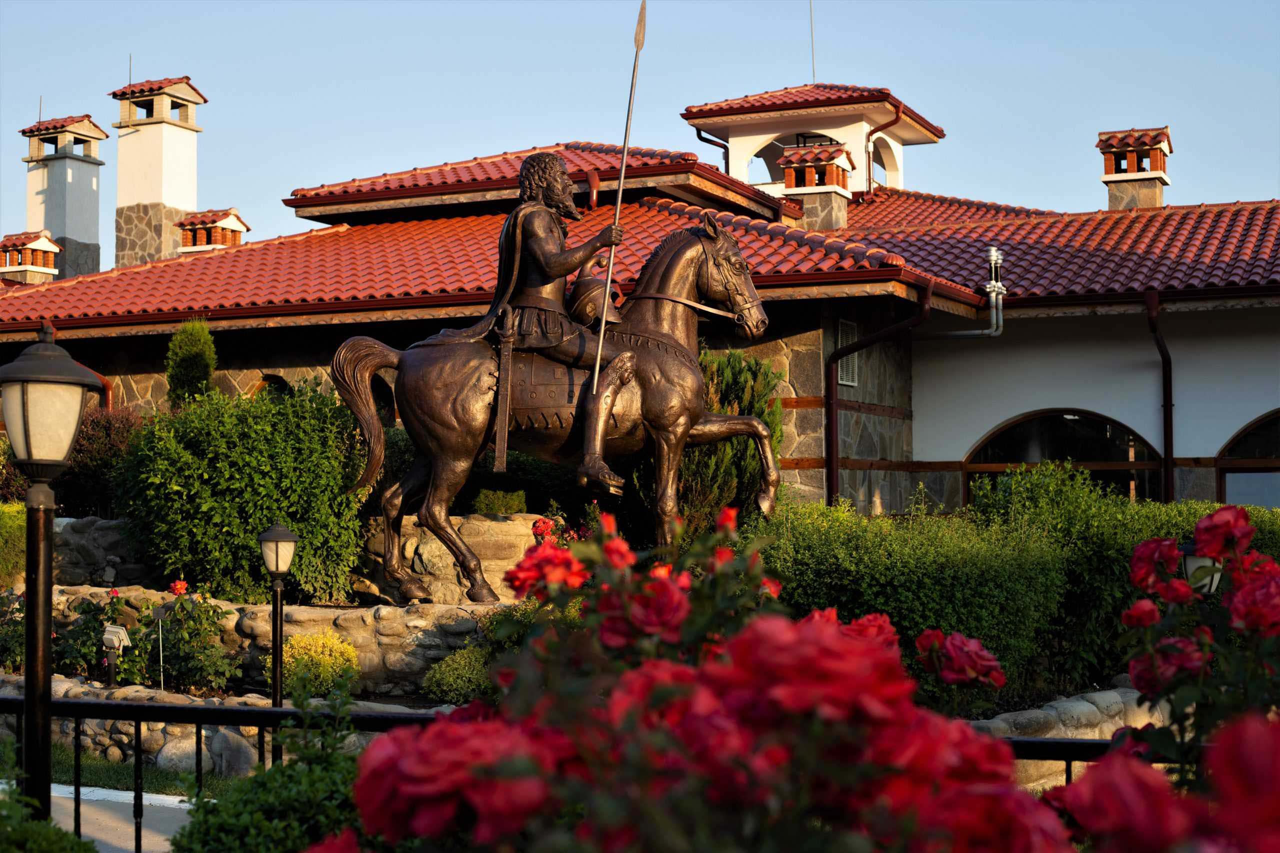 Дамасцена - снимка 9